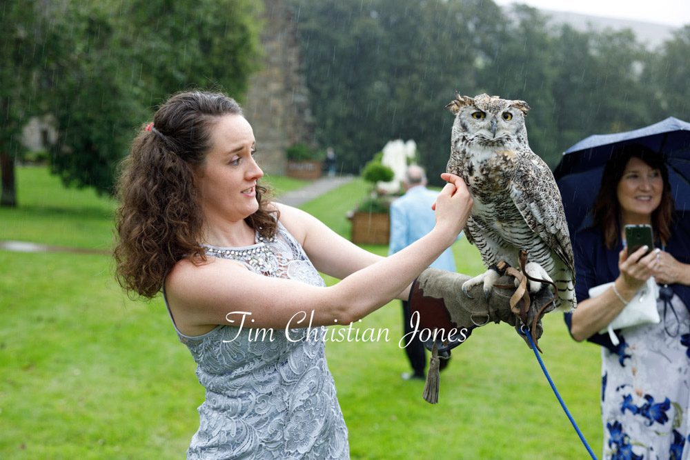 Wedding guest smiles while gently stroking an owl